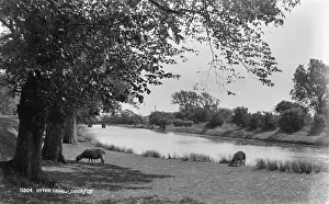 Hythe: Tranquil Scene at Hythe Canal
