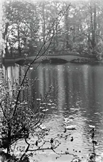 Peacefully: Tranquil Scene at Kenwood