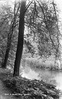 Derbyshire: Tranquil Scene at Miller's Dale