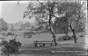 Milton: Tranquil Scene at Milton Heath