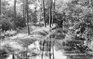 Newland: Tranquil Scene at Newland