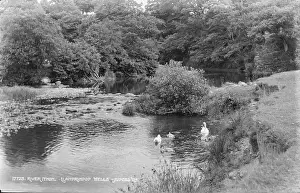 Ducks: Tranquil Scene at River Ithon
