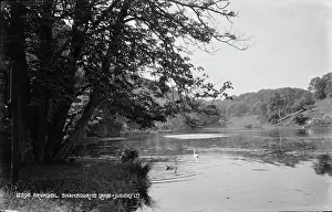Calm: Tranquil Scene at Swanbourne Lake
