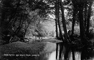 Ruthin: Tranquil Stream at Lady Bagot's Drive