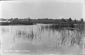 Sailboat: Tranquil Waters of Barton Broad