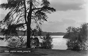 Judges: Tranquil Waters of Virginia Water