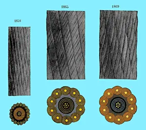 Newfoundland: Transatlantic Cable Design Templates, 1850-1860s