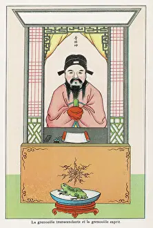 Kiang: TRANSCENDENTAL FROG