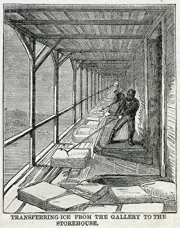 Storehouse: Transferring ice to storehouse, Hudson River 1875