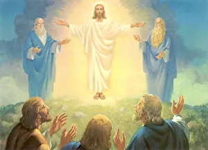 Transfiguration: The Transfiguration