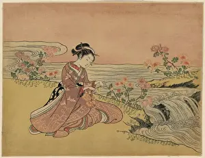 Chrysanthemums: Transformation of Kikujiro