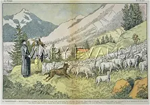 Transhumance: TRANSHUMANCE, FRANCE