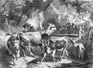 Transhumance: TRANSHUMANCE, SWISS