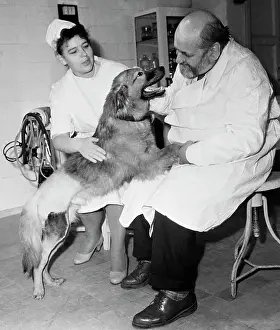 Orthopedics: Transplantation lab at the Central Institute of