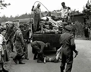 Dysentery: Transport of corpses at Bergen-Belsen