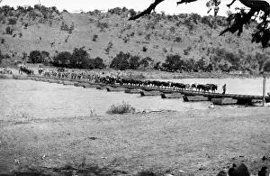 Colenso: Transport crossing Pontoon Bridge