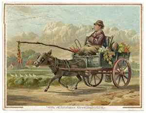 Dangles: Transport - Donkey - circa 1880