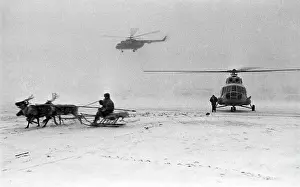Reindeer: Transport in the North Pole, 1981