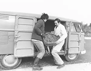 Gumpoldskirchen: Transport of a wine butte