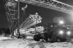 Logging: Transportation of timber in Komsomol forestry