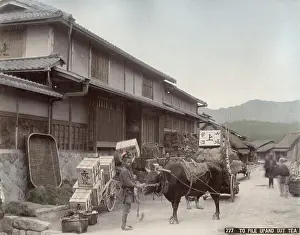 Ranch: Transporting boxes of tea by ox cart, Japan