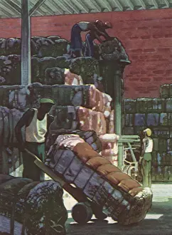 Compressed: Transporting Cotton