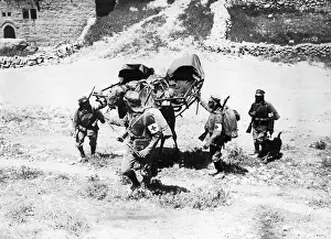 Medics: Transporting wounded soldiers on a camel, 1918