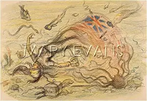 Drowns: TRANSVAAL DROWNS ALBION