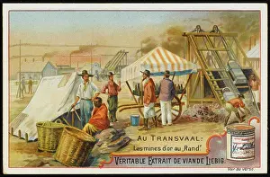 Rand: TRANSVAAL GOLD MINING