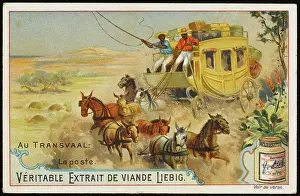 Veldt: TRANSVAAL MAIL COACH