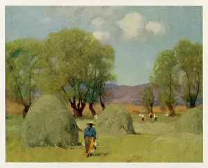 Transylvania: TRANSYLVANIAN HAYTIME