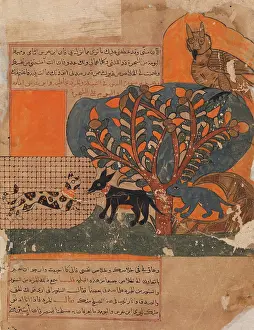 Kalila: The Trapped Cat and the Frightened Mouse (Rat