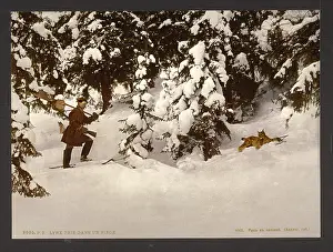 Trapping: Trapping lynx, Russia