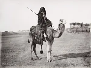 Bedouin: Traveller, Bedouin man on camel, Egypt