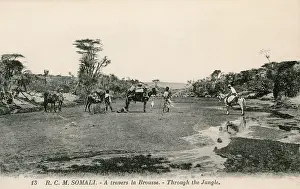 Donkeys: Travelling through Somalia's savanna