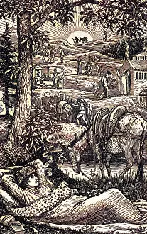 Cevennes: TRAVELS WITH A DONKEY