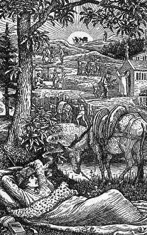 Cevennes: TRAVELS WITH A DONKEY