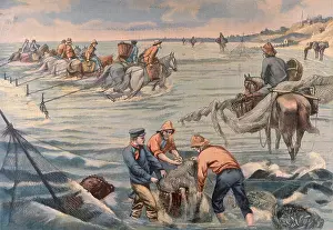 Trawling: TRAWLING WITH HORSES
