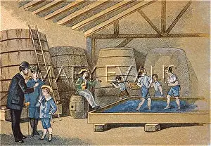 Treading: TREADING GRAPES, MACON