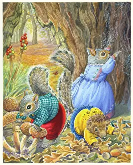 Toadstools: The Treasure Hunt