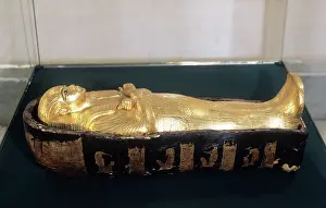 Displays: Treasures of Tutankhamun's tomb, 1973
