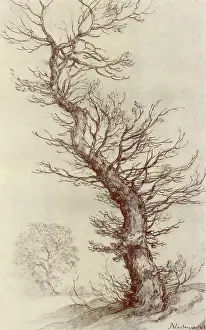 Nearly: Tree