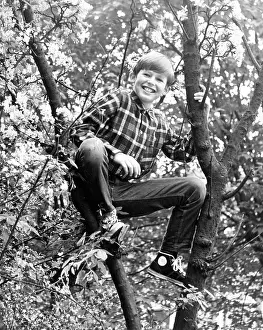 Ad Lib Studios: TREE BOY
