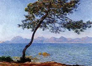 Seascapes: Tree in Cap d'Antibes, by Monet