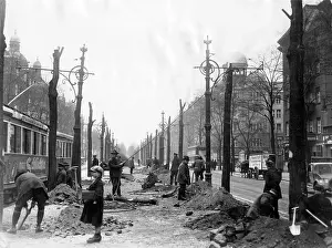 Tramway: Tree clearing on the Kurfuerstendamm in Berlin, 1931