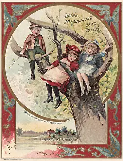 Climbers: Tree Climbers