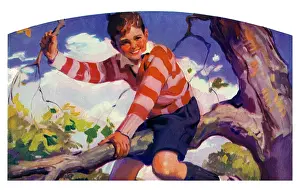 Straddling: Tree climbing