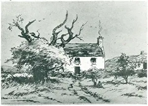 Beattie: Tree By A Cottage