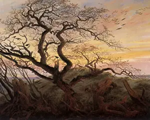 Caspar: The Tree of Crows, by Caspar David Friedrich