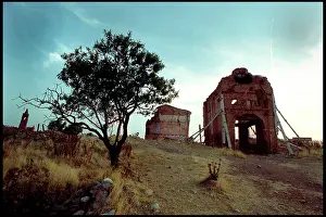 Desolate: Tree and damaged buildings, Belchite, Spain